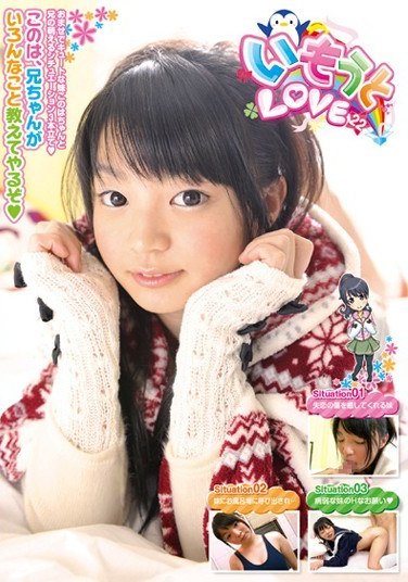 KTDS-335木叶