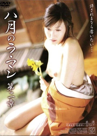 VNDS-387