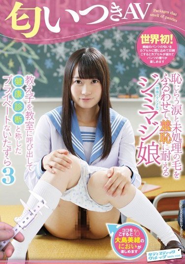 SVDVD-574大岛美绪