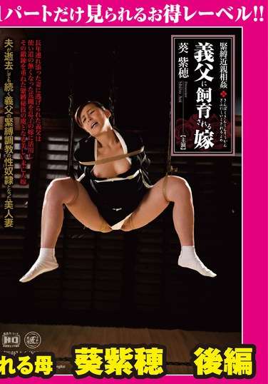 GML-377葵紫穂
