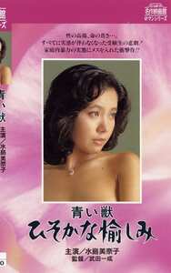 NKT-228水島美奈子,秋野美弥子,稲川順子