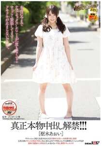 SDEN-031枢木葵
