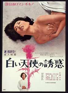NKT-452片桐夕子,林美樹,岸本マギ,堺美紀子