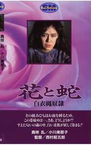 NKT-023真咲乱,小川美那子,江崎和代